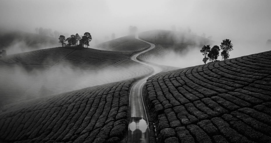 Munnar Highland Extension
